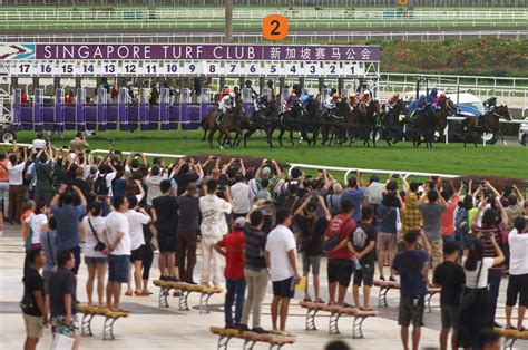 Unveiling the Enchanting World of Horse Racing with www singapore turf club com sg