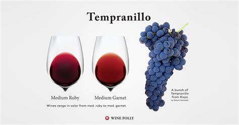 Unveiling the Enchanting World of Tempranillo: A Comprehensive Guide