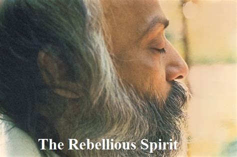 Unveiling the Enigma of the Rebellious Spirit