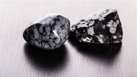 Unveiling the Enigmatic Snowflake Obsidian