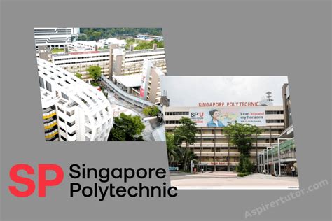 Unveiling the Enriching World of Law Courses in Polytechnics