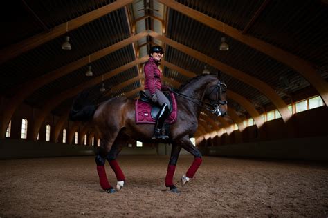 Unveiling the Essential Arsenal for Equestrian Excellence: A Comprehensive Guide to Horse Accessories