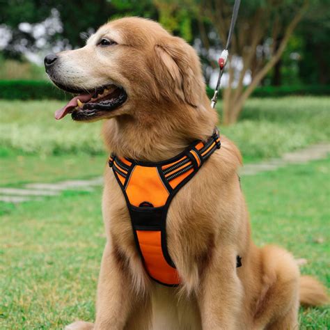 Unveiling the Essential Guide to Canine Dog Harnesses: Empowering Comfort and Safety for Your Furry Companion