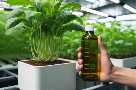 Unveiling the Fertilizer Aisle: A Guide to Choosing the Perfect Plant Food