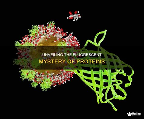 Unveiling the Fluorescence Phenomenon