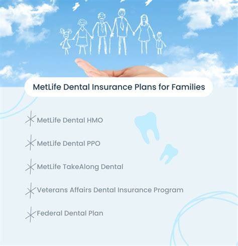 Unveiling the Future of Dental Health: A Comprehensive Guide to MetLife Dental Plans 2024