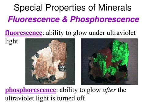 Unveiling the Glow: Fluorescence and Phosphorescence