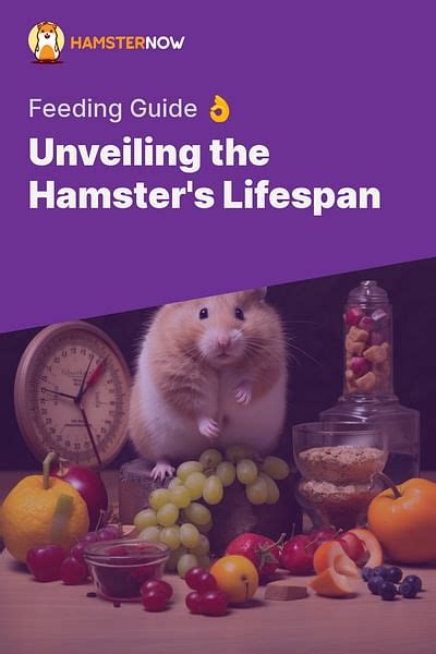 Unveiling the Hamster's Lifespan: A Journey from Birth to Old Age