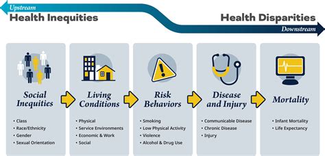 Unveiling the Health Disparities