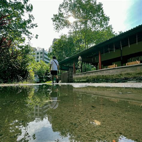 Unveiling the Hidden Gems: A Photographer's Guide to Singapore's Secret Photography Spots