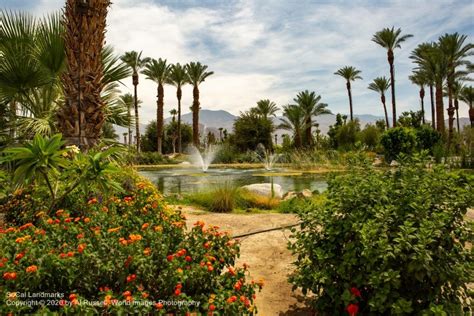 Unveiling the History of Shields Date Garden