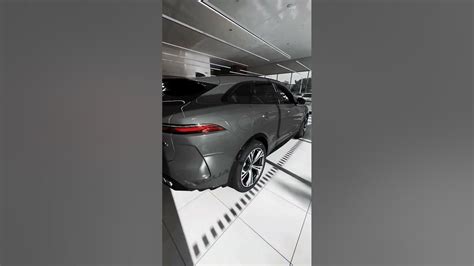 Unveiling the Jaguar's Prowess: A Season of Triumphs and Challenges