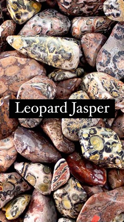 Unveiling the Leopard Jasper's Mystical Properties