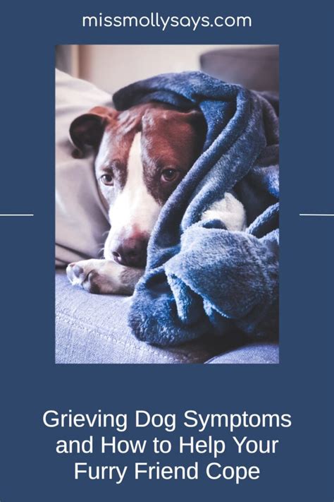 Unveiling the Lingering Grief: A Comprehensive Guide to Grieving Dog Symptoms