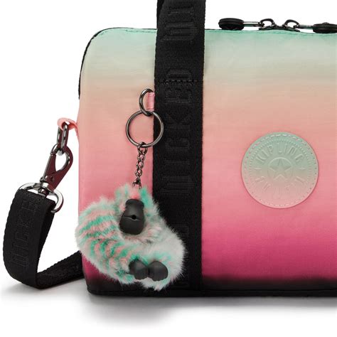 Unveiling the Magic of Kipling Lunch Bags