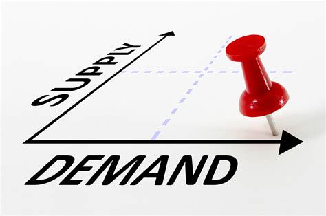 Unveiling the Market Size and Demand