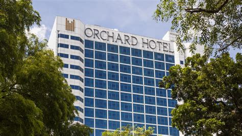 Unveiling the Marvel: The Grand Orchard Hotel