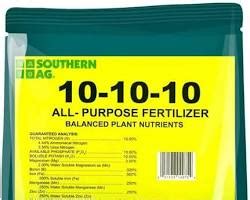 Unveiling the Miracle of 10-10-10 Fertilizer: A Guide to Boosting Plant Health