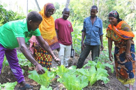 Unveiling the Mkeka Bet: A Comprehensive Guide to Empowering Small-scale Farmers in Tanzania