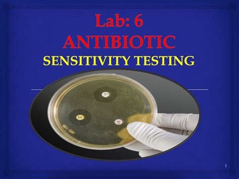 Unveiling the Mystery: A Powerful Antimicrobial Sensitivity Test PPT for Your Needs