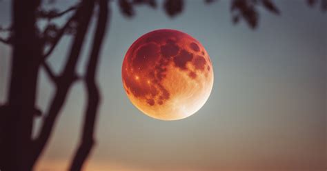 Unveiling the Mystique of the Blood Moon Yas: A Comprehensive Exploration