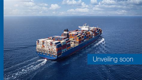 Unveiling the Need for Efficiency in Shipping Operations