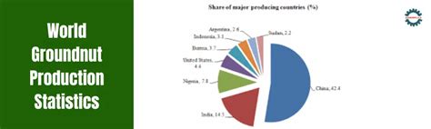 Unveiling the Numbers: A Statistical Deep Dive