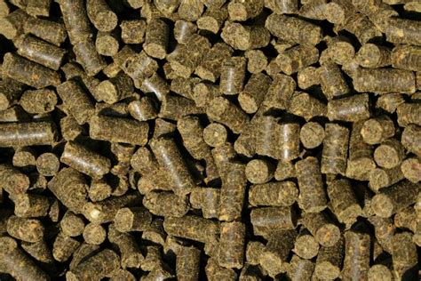 Unveiling the Nutritive Power of Alfalfa Pellets for Horses