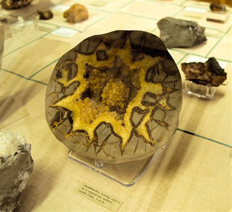 Unveiling the Origin and Formation of Septarian Nodules