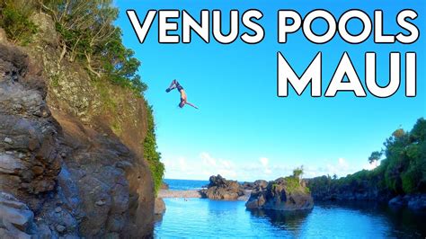 Unveiling the Origin and Formation of the Venus Pools