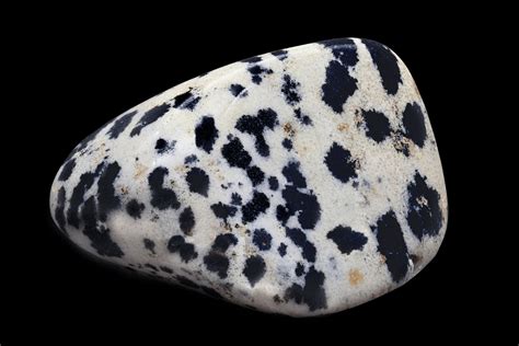 Unveiling the Origins and Characteristics of Dalmatian Stone