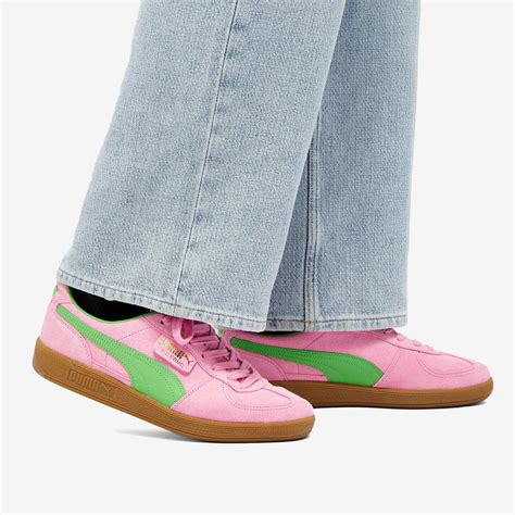 Unveiling the Origins and Popularity of Pink and Green Pumas