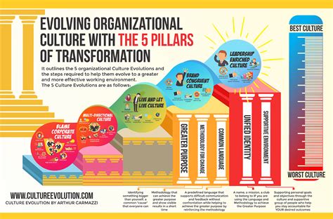 Unveiling the Pillars of Training and Development: Empowering Individuals and Organizations