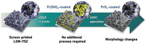 Unveiling the Potential of DMT10H009SPS-13: A Revolutionary Catalyst