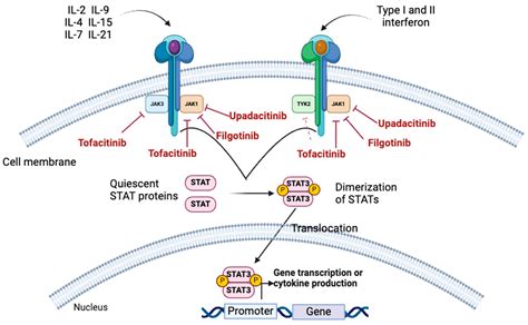 Unveiling the Potential of TPNUP2114UPXV5T1G