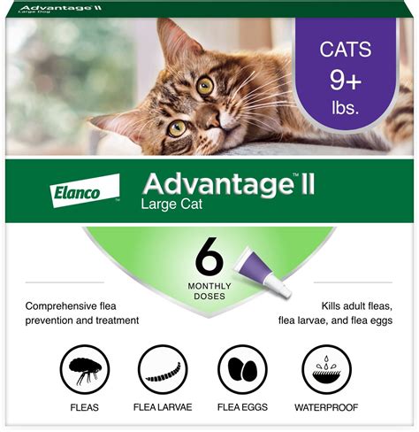 Unveiling the Power of Advantage 2 for Cats: A Comprehensive Guide to Feline Flea and Tick Protection