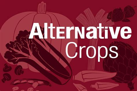 Unveiling the Power of Alternative Crops