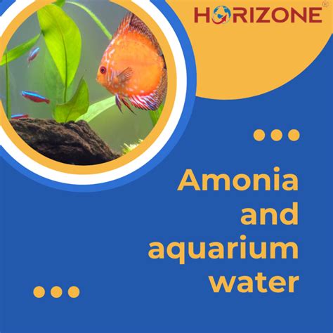 Unveiling the Power of Ammonia: A Comprehensive Guide