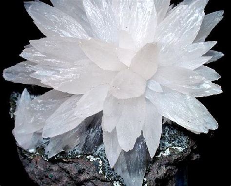 Unveiling the Power of Calcite Cole