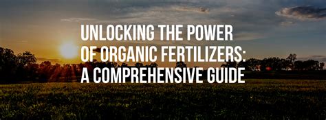 Unveiling the Power of Compound S Fertilizer: A Comprehensive Guide