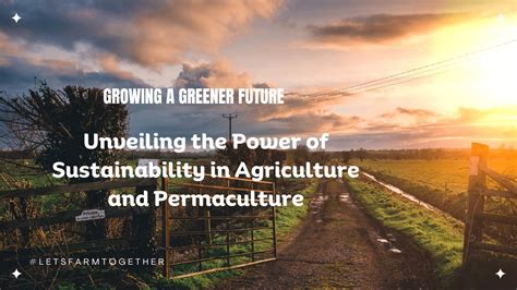 Unveiling the Power of Fertilizers for a Greener Future