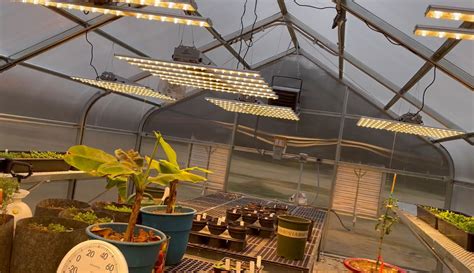 Unveiling the Power of LED Grow Lights: A Comprehensive Guide for Indoor Gardening