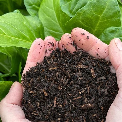 Unveiling the Power of Organic Compost