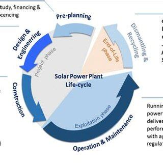 Unveiling the Power of Plant Life