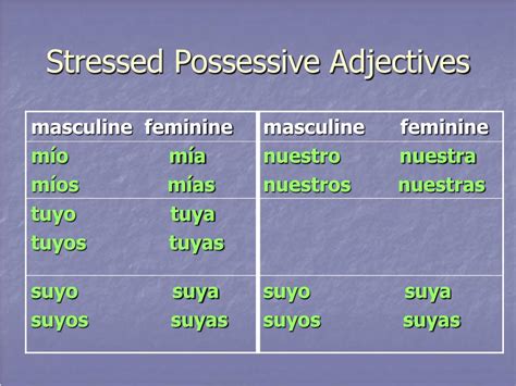 Unveiling the Power of Stressed Possessive Adjectives: Your Guide to Enhanced Writing Clarity