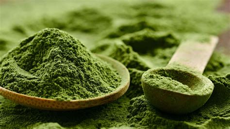 Unveiling the Powerhouse of Nutrition: A Comprehensive Guide to Chlorella Powder