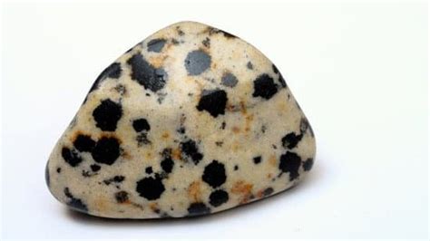 Unveiling the Properties of Dalmatian Stone