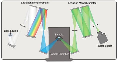 Unveiling the Science of Fluorescence