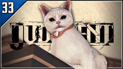 Unveiling the Secrets of Cats Judgment Game