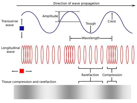 Unveiling the Secrets of Waves: Label a Transverse Wave Like a Pro!